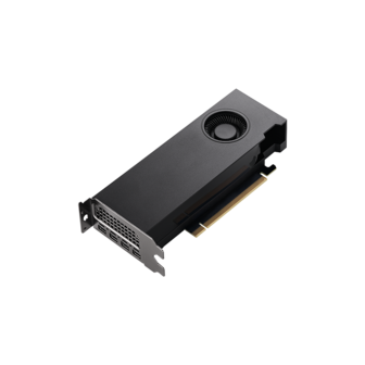 A2000 PNY RTX 12GB/4xmDP incl. Adapter/Low Profile