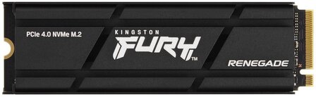 1TB M.2 PCIe NVMe Kingston FURY Renegade 7300/6000 Heat