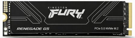 2TB M.2 PCIe NVMe Kingston FURY Renegade G5 14700/14000