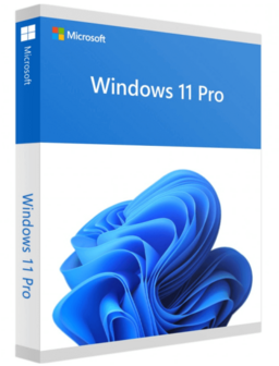 OS UK Microsoft Windows 11 Pro 64bit DVD OEM
