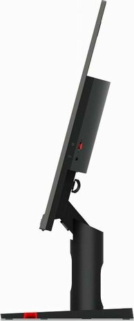 24" Lenovo Lenovo ThinkVision FHD/HDMI/VGA/100Hz/IPS