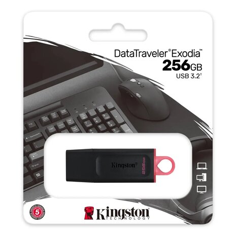 Kingston DataTraveler Exodia USB 3.2 FD 256GB