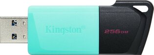 USB 3.2 FD 256GB Kingston DataTraveler Exodia M Zw-Gr