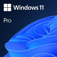 OS Microsoft Windows 11 Pro 64bit ESD Multilanguage