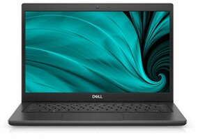 Dell 14,0