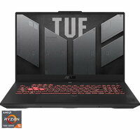 ASUS 17,3